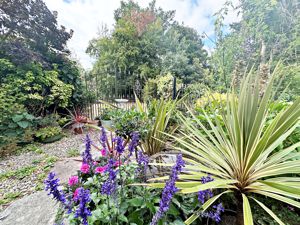 Garden- click for photo gallery